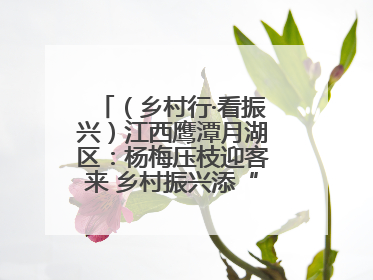 （乡村行·看振兴）江西鹰潭月湖区：杨梅压枝迎客来 乡村振兴添“梅”景