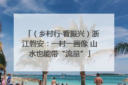（乡村行·看振兴）浙江磐安：一村一画像 山水也能带“流量”