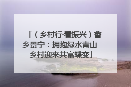 （乡村行·看振兴）畲乡景宁：拥抱绿水青山 乡村迎来共富蝶变