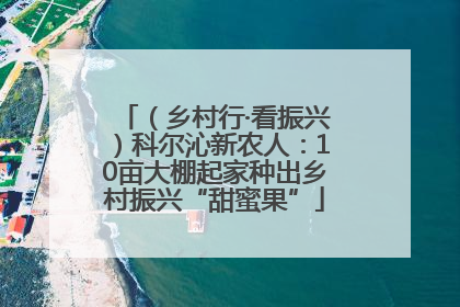 （乡村行·看振兴）科尔沁新农人：10亩大棚起家种出乡村振兴“甜蜜果”