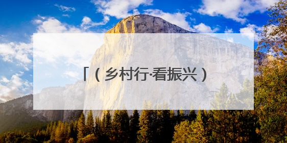 （乡村行·看振兴）陕西留坝：“满山绿”如何变“口袋金”？