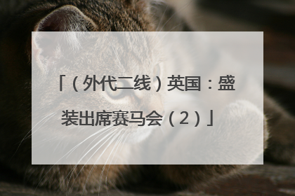 （外代二线）英国：盛装出席赛马会（2）