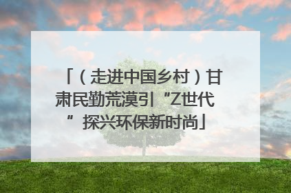 （走进中国乡村）甘肃民勤荒漠引“Z世代”探兴环保新时尚