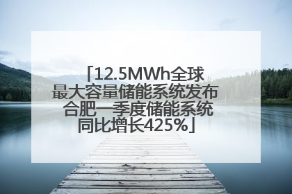 12.5MWh全球最大容量储能系统发布 合肥一季度储能系统同比增长425%