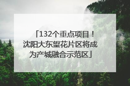 132个重点项目！沈阳大东望花片区将成为产城融合示范区