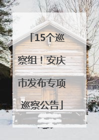 15个巡察组！安庆市发布专项巡察公告