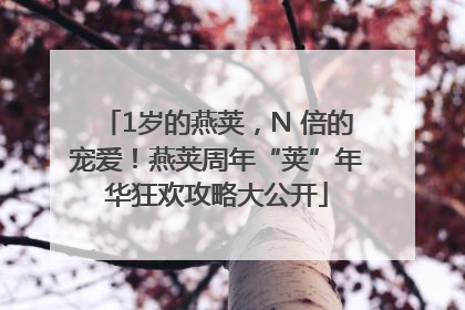 1岁的燕荚，N 倍的宠爱！燕荚周年“荚”年华狂欢攻略大公开