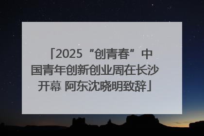 2025“创青春”中国青年创新创业周在长沙开幕 阿东沈晓明致辞