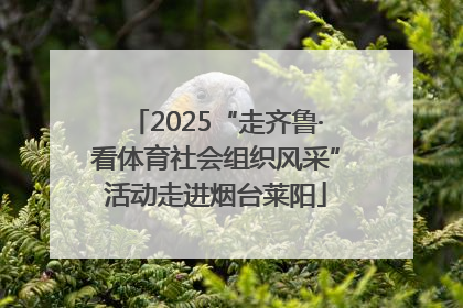 2025“走齐鲁·看体育社会组织风采”活动走进烟台莱阳