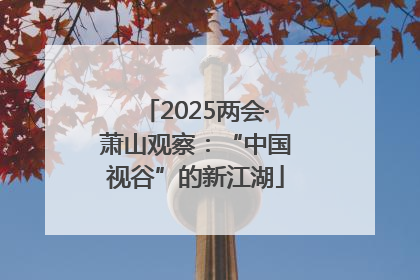 2025两会·萧山观察:“中国视谷”的新江湖
