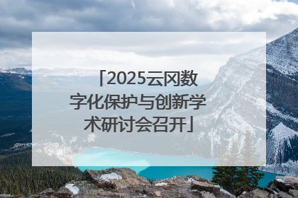 2025云冈数字化保护与创新学术研讨会召开