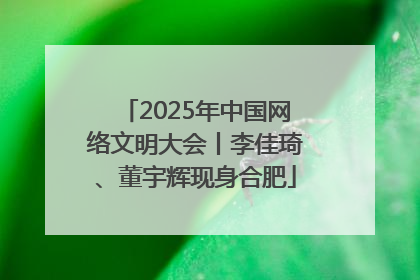2025年中国网络文明大会丨李佳琦、董宇辉现身合肥
