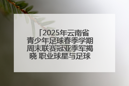 2025年云南省青少年足球春季学期周末联赛冠亚季军揭晓 职业球星与足球小将共享荣耀时刻