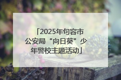 2025年句容市公安局“向日葵”少年警校主题活动