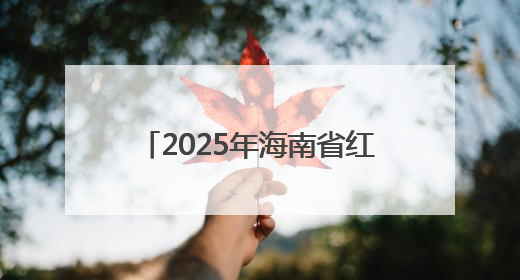 2025年海南省红色故事讲解员大赛（决赛）在海口举行