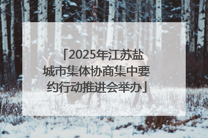2025年江苏盐城市集体协商集中要约行动推进会举办