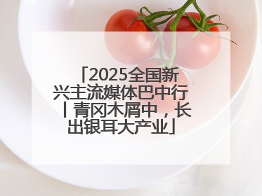 2025全国新兴主流媒体巴中行丨青冈木屑中，长出银耳大产业