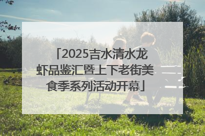 2025吉水清水龙虾品鉴汇暨上下老街美食季系列活动开幕