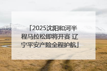 2025沈阳和河半程马拉松即将开赛 辽宁平安产险全程护航