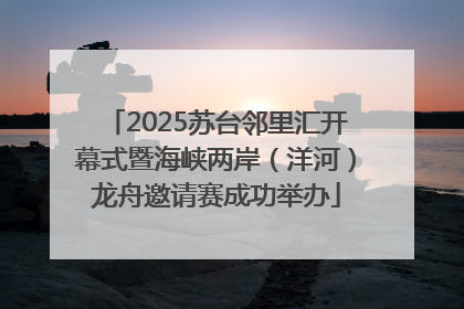 2025苏台邻里汇开幕式暨海峡两岸（洋河）龙舟邀请赛成功举办