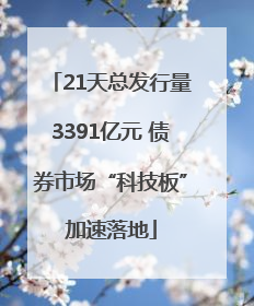 21天总发行量3391亿元 债券市场“科技板”加速落地