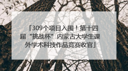 309个项目入围！第十四届“挑战杯”内蒙古大学生课外学术科技作品竞赛收官