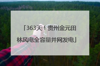 363天！贵州金元田林风电全容量并网发电