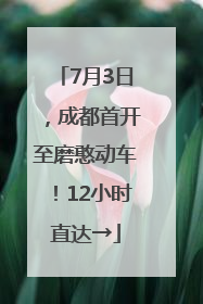 7月3日，成都首开至磨憨动车！12小时直达→