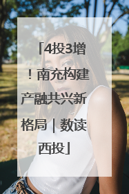 4投3增！南充构建产融共兴新格局｜数读西投