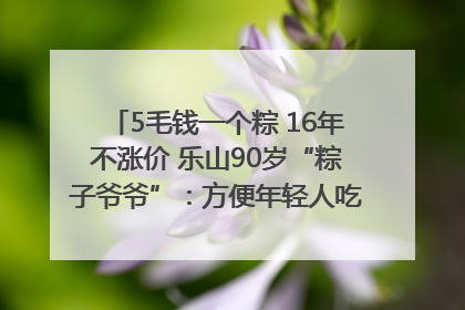 5毛钱一个粽 16年不涨价 乐山90岁“粽子爷爷”：方便年轻人吃口热乎早饭｜封面头条