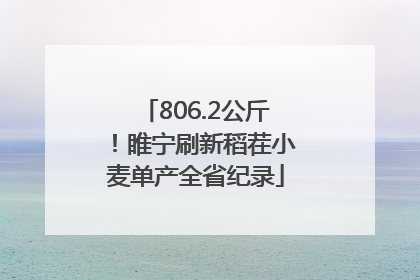 806.2公斤！睢宁刷新稻茬小麦单产全省纪录