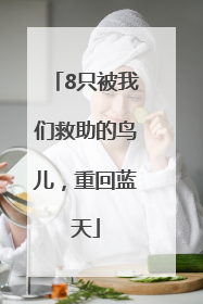 8只被我们救助的鸟儿，重回蓝天