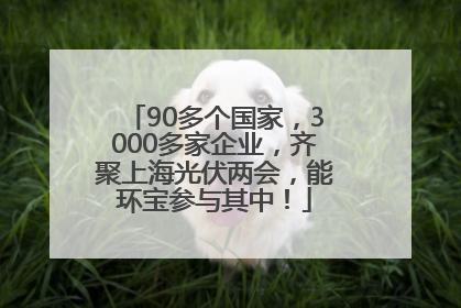 90多个国家，3000多家企业，齐聚上海光伏两会，能环宝参与其中！