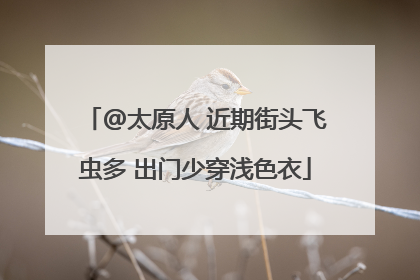 @太原人 近期街头飞虫多 出门少穿浅色衣