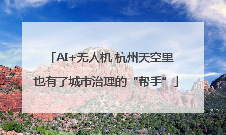 AI+无人机 杭州天空里也有了城市治理的“帮手”