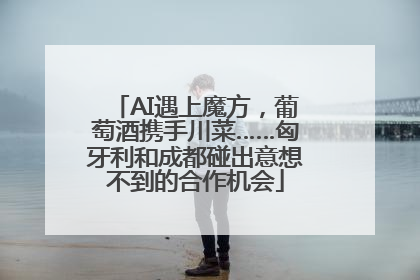 AI遇上魔方，葡萄酒携手川菜……匈牙利和成都碰出意想不到的合作机会