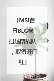 MSI首日BLG横扫越南战队，取得开门红