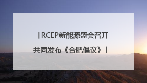 RCEP新能源盛会召开 共同发布《合肥倡议》